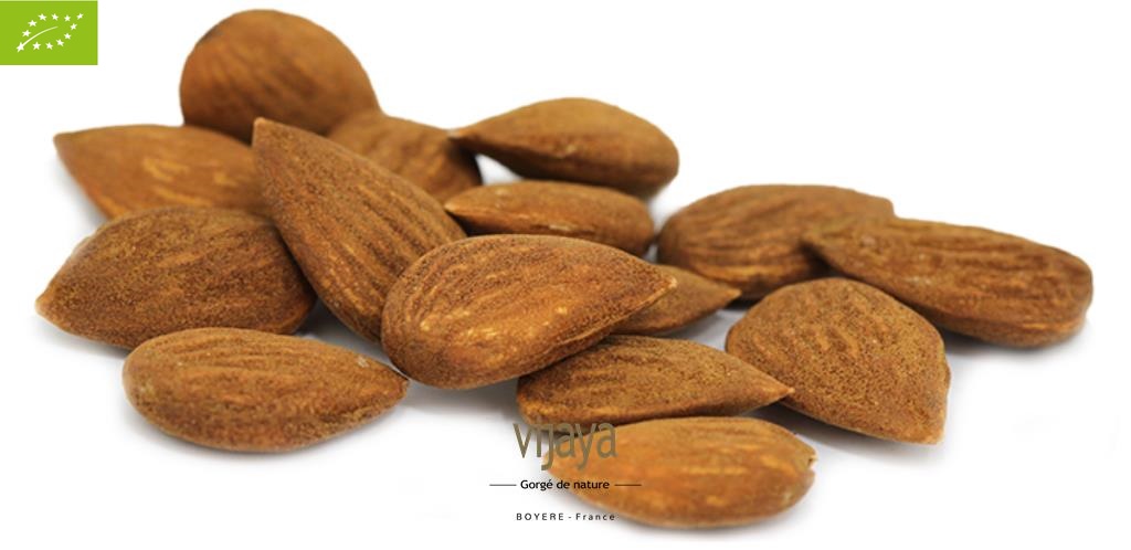 Amande Décortiquée - SELECTION VIJAYA - SICILE - 5 kg - Bio*